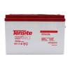 Batería AGM 12V 100Ah Tensite