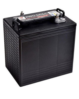 Batería Yuasa Pro Spec DCB605 6V 210Ah