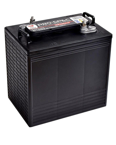 Batería Yuasa Pro Spec DCB605 6V 210Ah