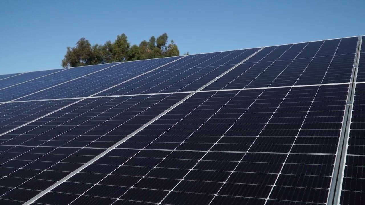 Проекты и портфолио